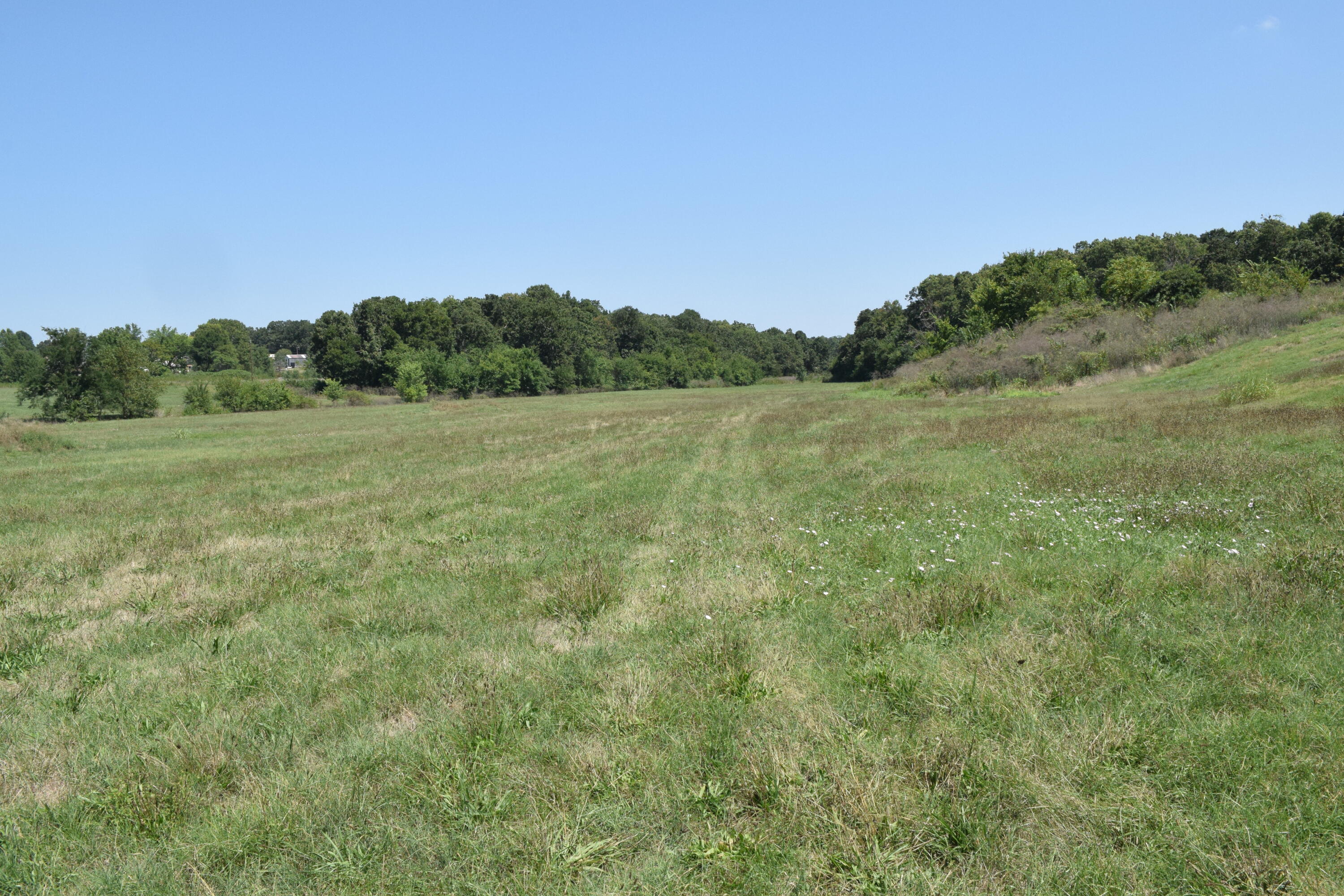 Photo 3 - Land for sale – 000  County Road 1090   Monett, MO