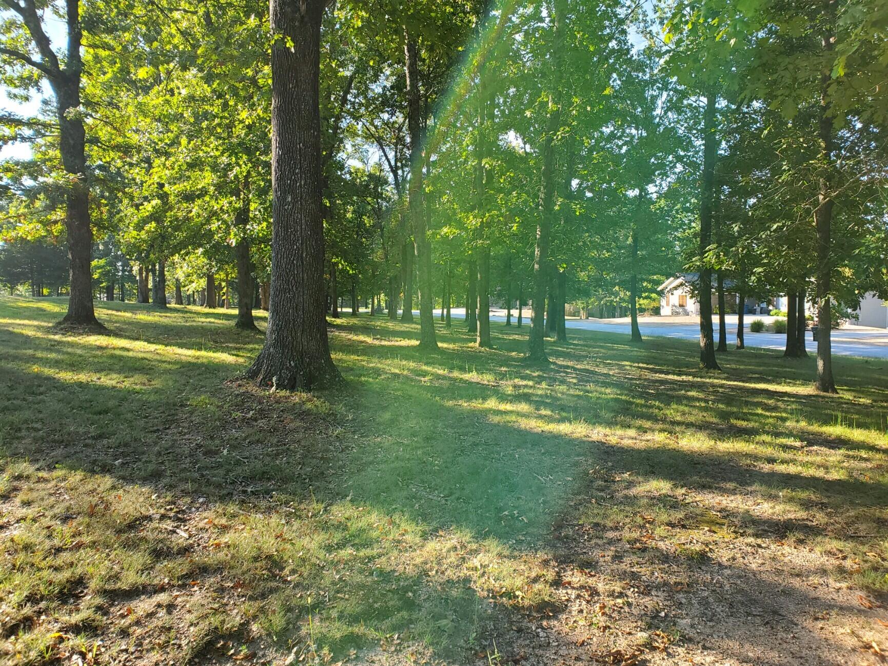 Photo 3 - Land for sale – 22009  Mill Creek Way  Shell Knob, MO
