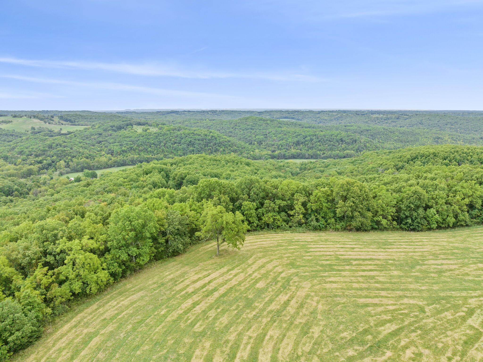 Photo 9 - Farm for sale – 735  Co Rd Uu-551   Sparta, MO