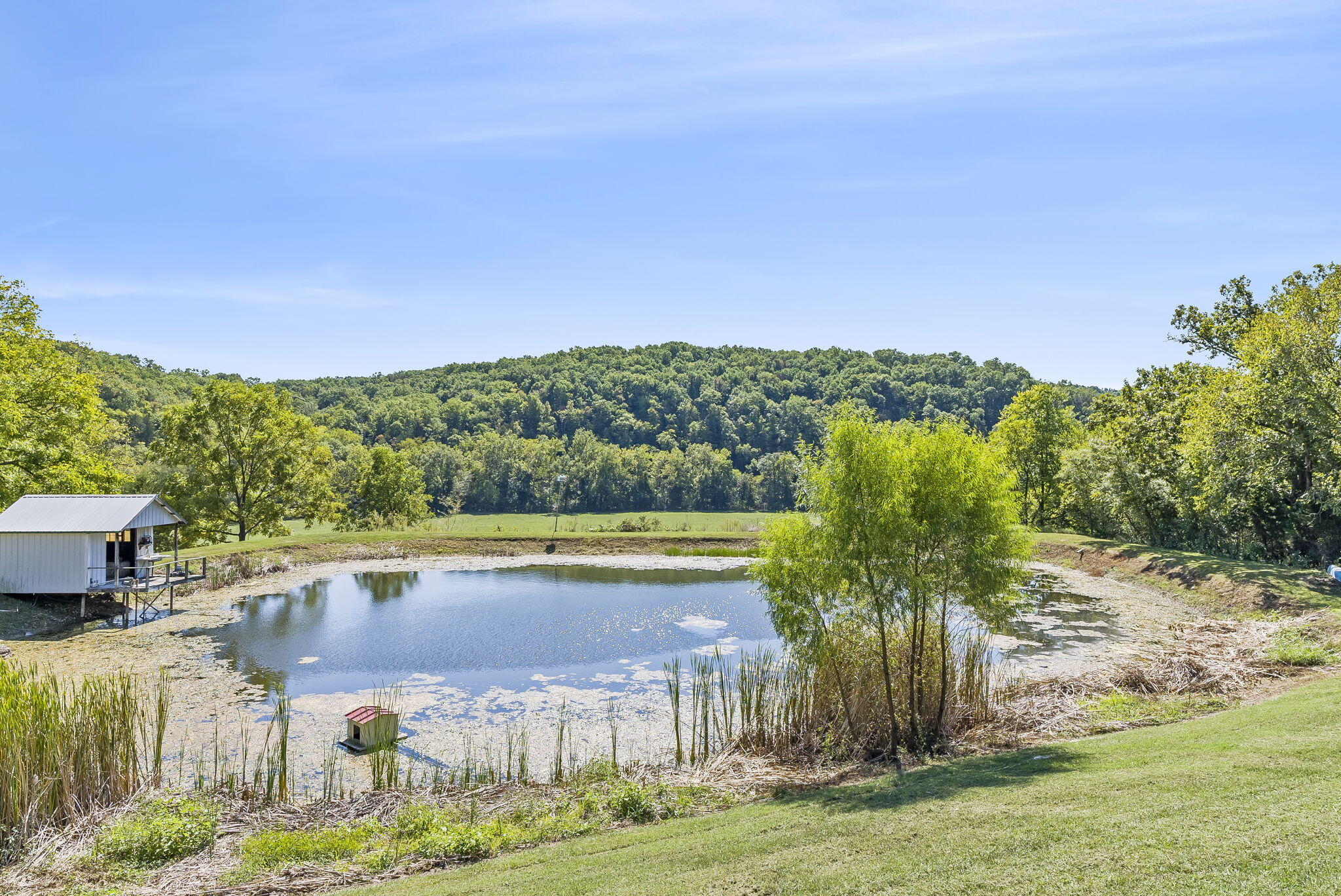 Photo 26 - Farm for sale – 735  Co Rd Uu-551   Sparta, MO