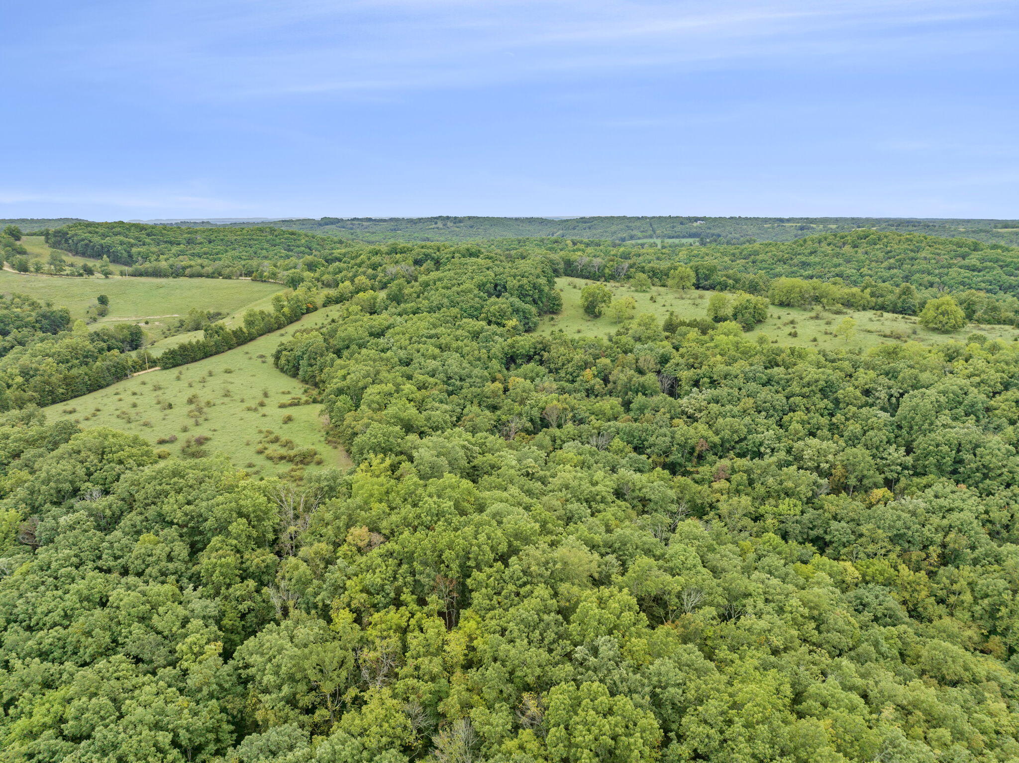 Photo 69 - Commercial Sale for sale – 735  Co Rd Uu-551   Sparta, MO