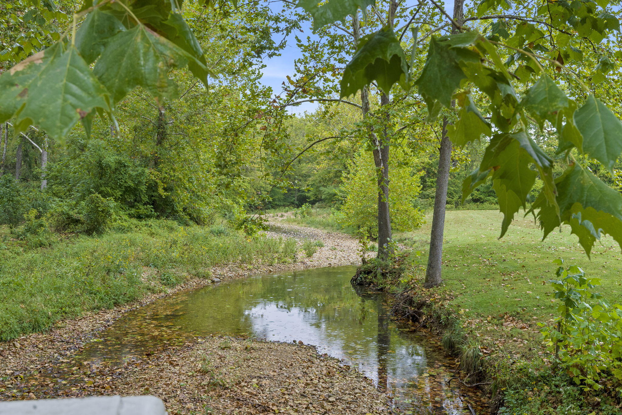 Photo 66 - Commercial Sale for sale – 735  Co Rd Uu-551   Sparta, MO