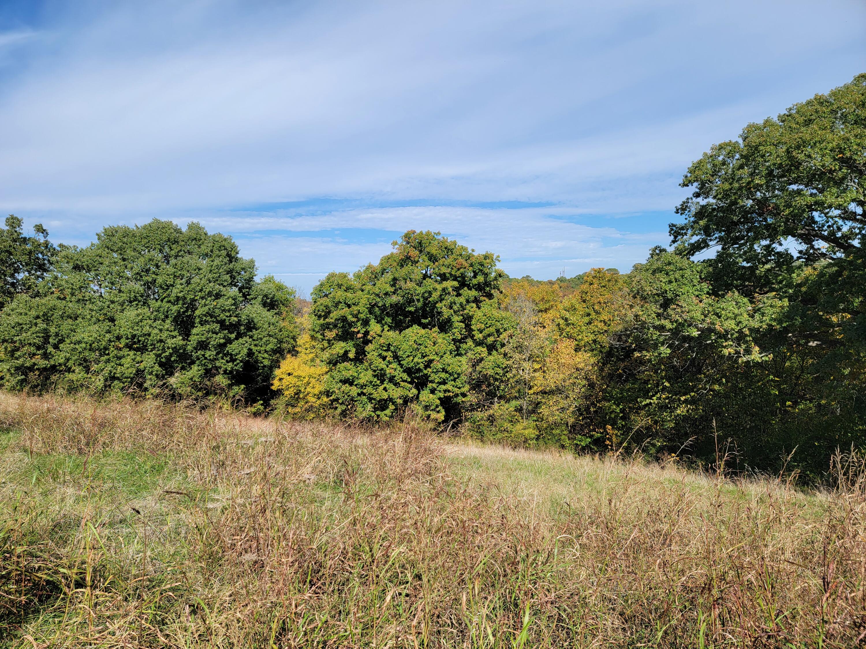 Land for sale – 000 Eagle Crest Drive Hollister, MO