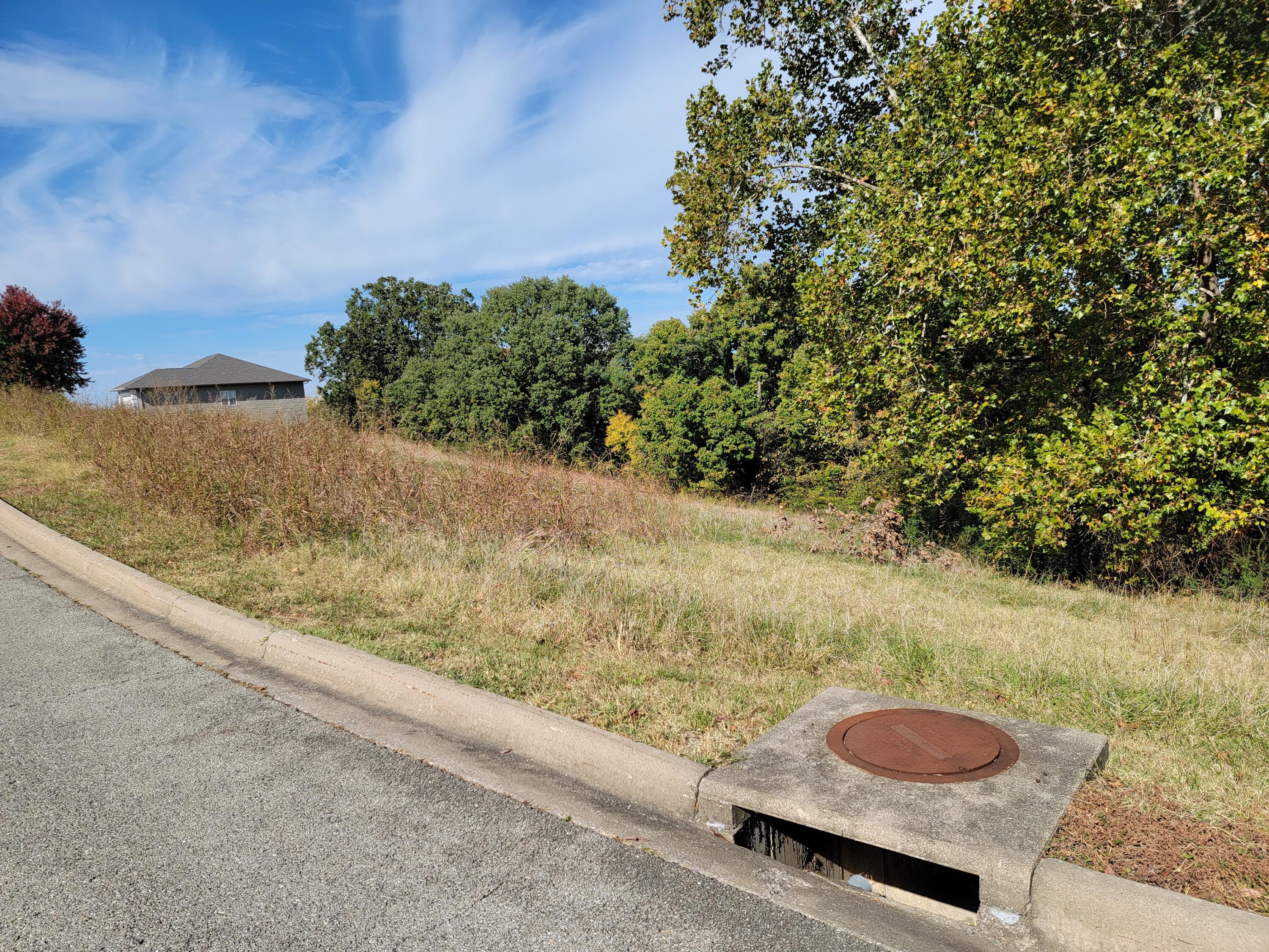 Photo 3 - Land for sale – 000  Eagle Crest Drive  Hollister, MO