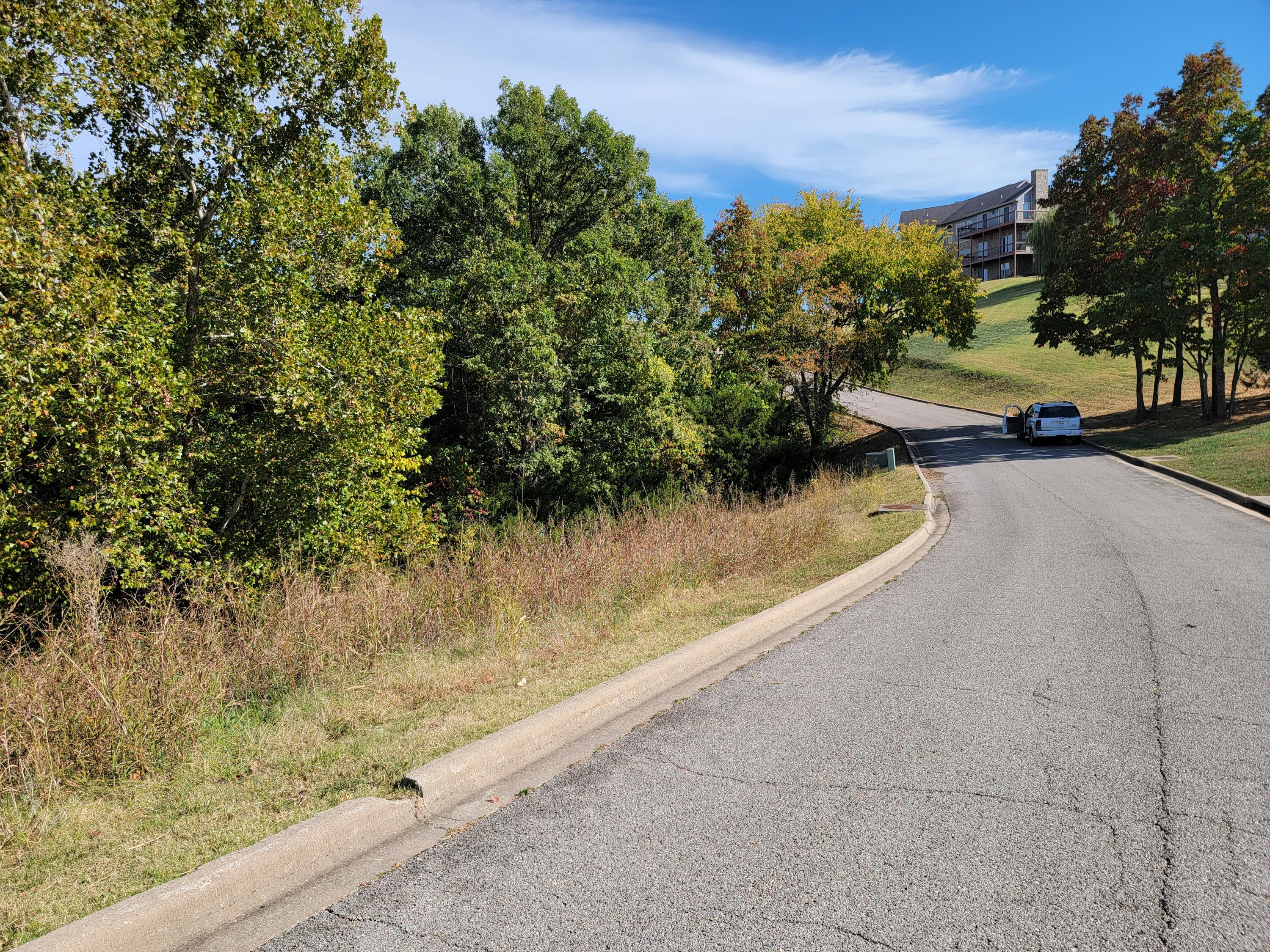 Photo 4 - Land for sale – 000  Eagle Crest Drive  Hollister, MO