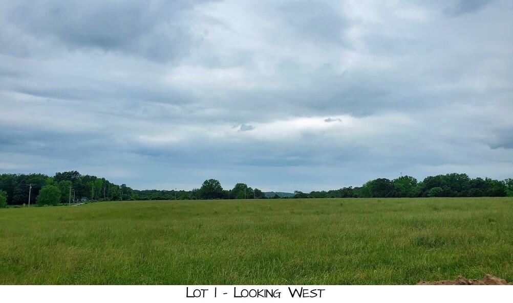 Land for sale – Lot 1  Prairie View Rd   Brighton, MO