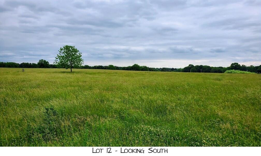 Land for sale – Lot 12  Prairie View Rd   Brighton, MO