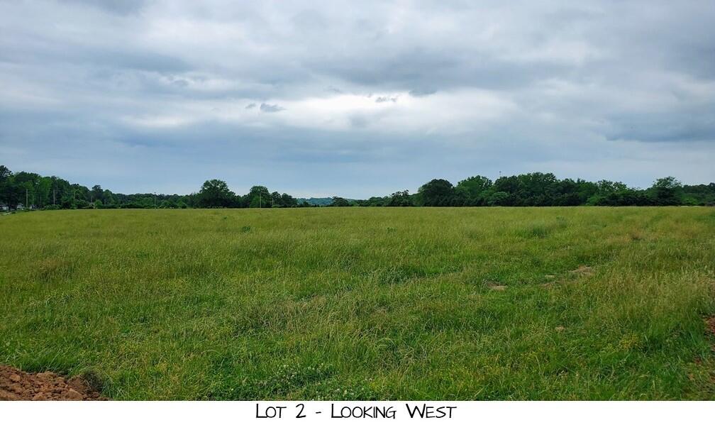 Land for sale – Lot 2  Prairie View Rd   Brighton, MO