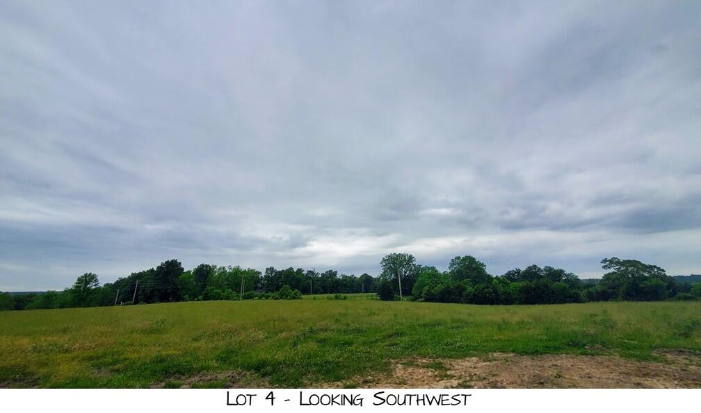 Land for sale – Lot 4  Pleasant View Rd   Brighton, MO