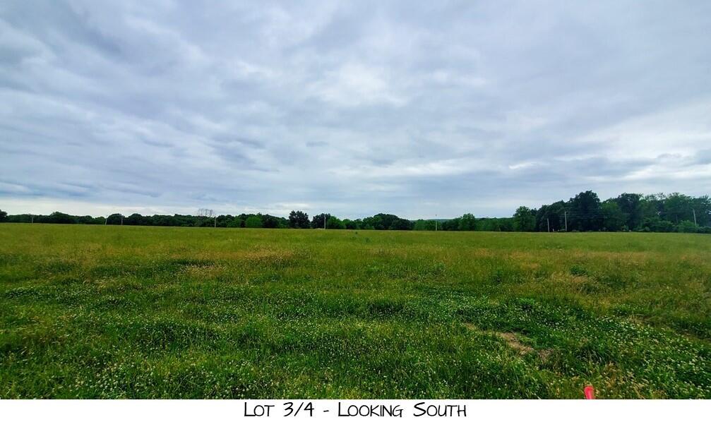 Photo 2 - Land for sale – Lot 4  Pleasant View Rd   Brighton, MO