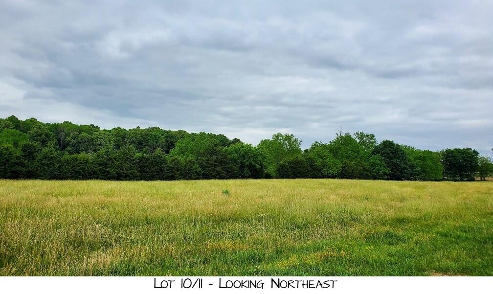 Land for sale – Lot 10  Pleasant View Rd   Brighton, MO