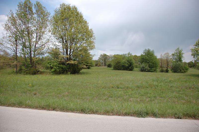 Photo 2 - Land for sale – 000  Freedom & Goodhard Drive  West Plains, MO