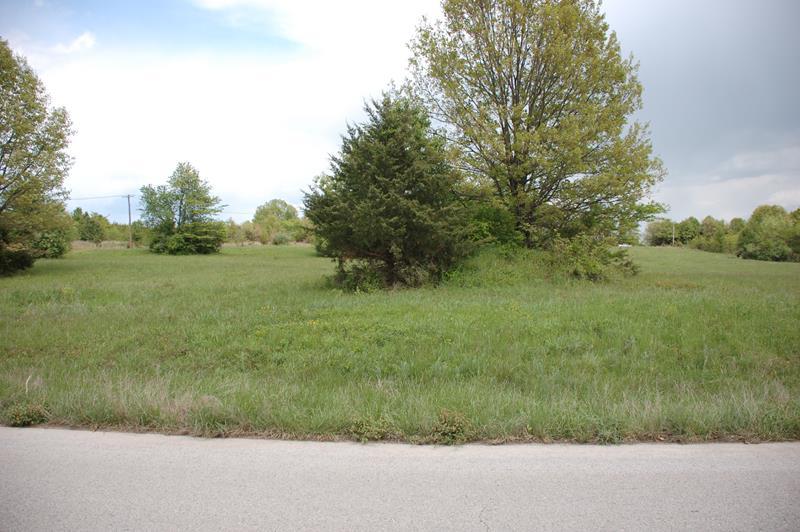 Photo 4 - Land for sale – 000  Freedom & Goodhard Drive  West Plains, MO
