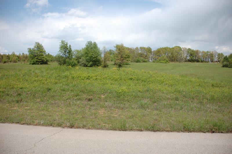 Commercial Sale for sale – 000 Freedom & Goodhard Drive West Plains, MO