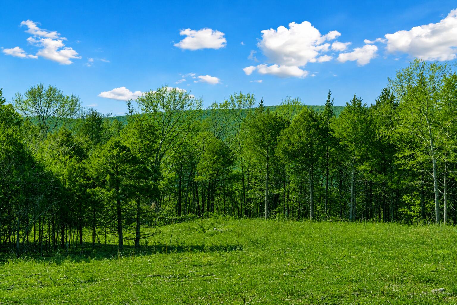 Photo 9 - Land for sale – Lot 187  Silver Sunset Lane  Kimberling City, MO