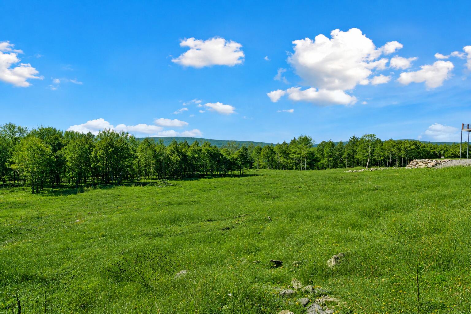 Photo 10 - Land for sale – Lot 187  Silver Sunset Lane  Kimberling City, MO