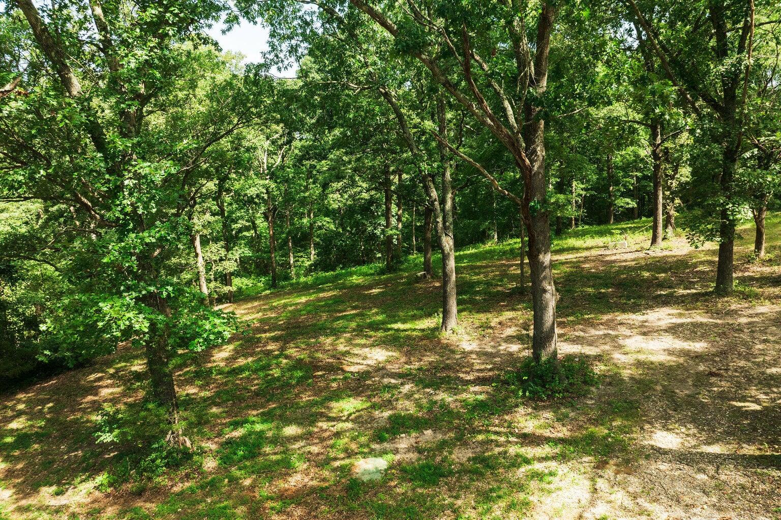 Photo 64 - Residential for sale – 9879 E State Hwy Ad   Rogersville, MO