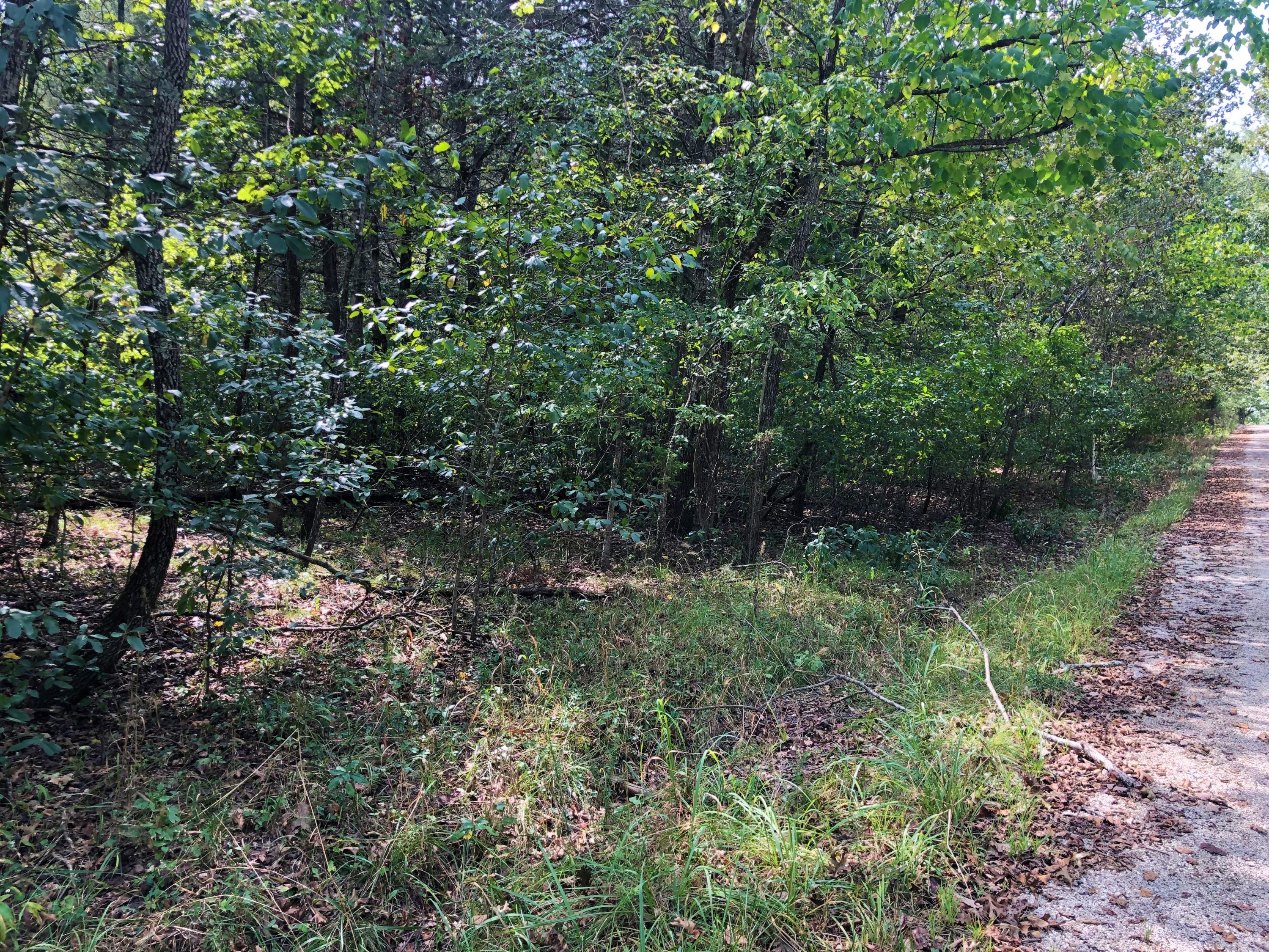 Photo 6 - Land for sale – 000  A Drive  Golden, MO