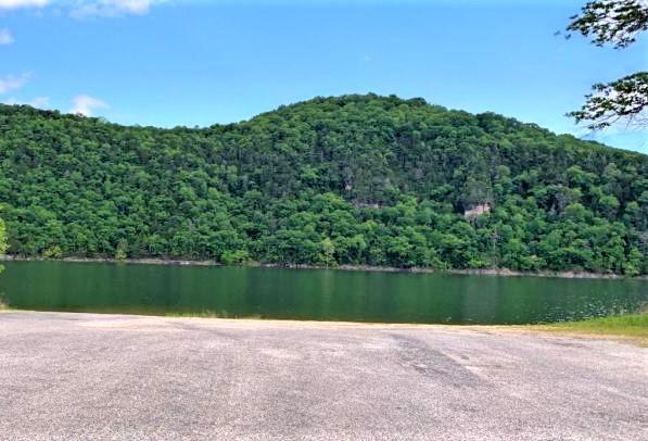 Photo 5 - Land for sale – 000  A Drive  Golden, MO