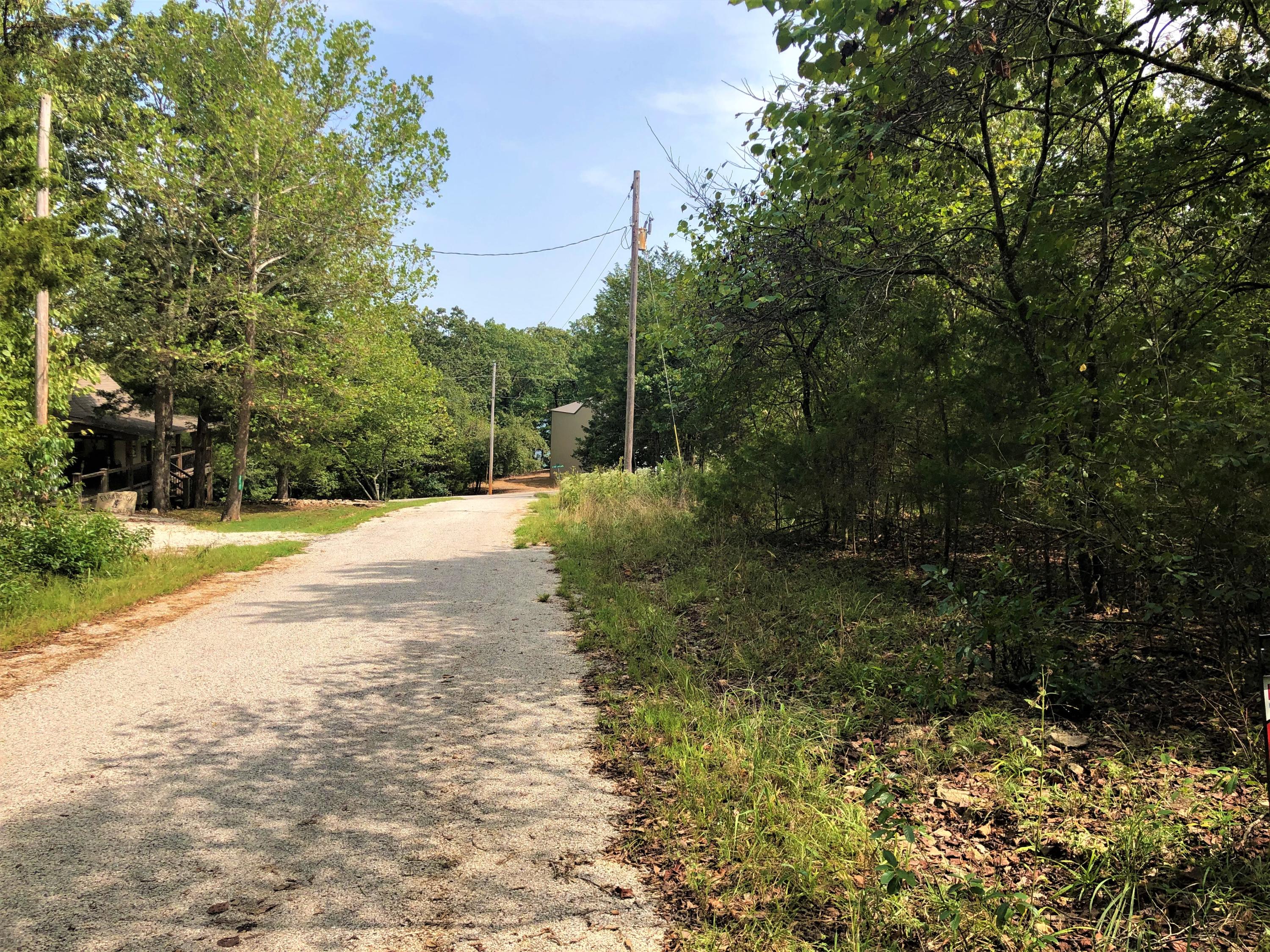 Photo 7 - Land for sale – 000  A Drive  Golden, MO