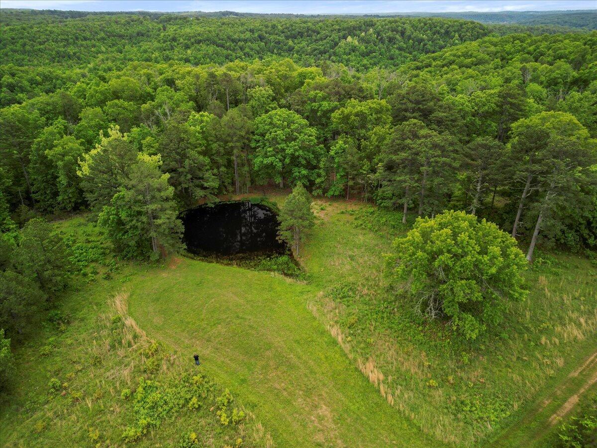 Photo 92 - Commercial Sale for sale – 7064  County Road 14-223 E  Ava, MO