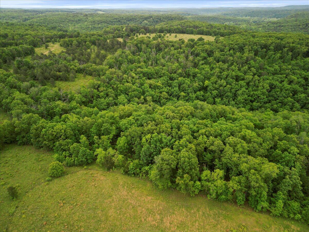 Photo 51 - Commercial Sale for sale – 7064  County Road 14-223 E  Ava, MO