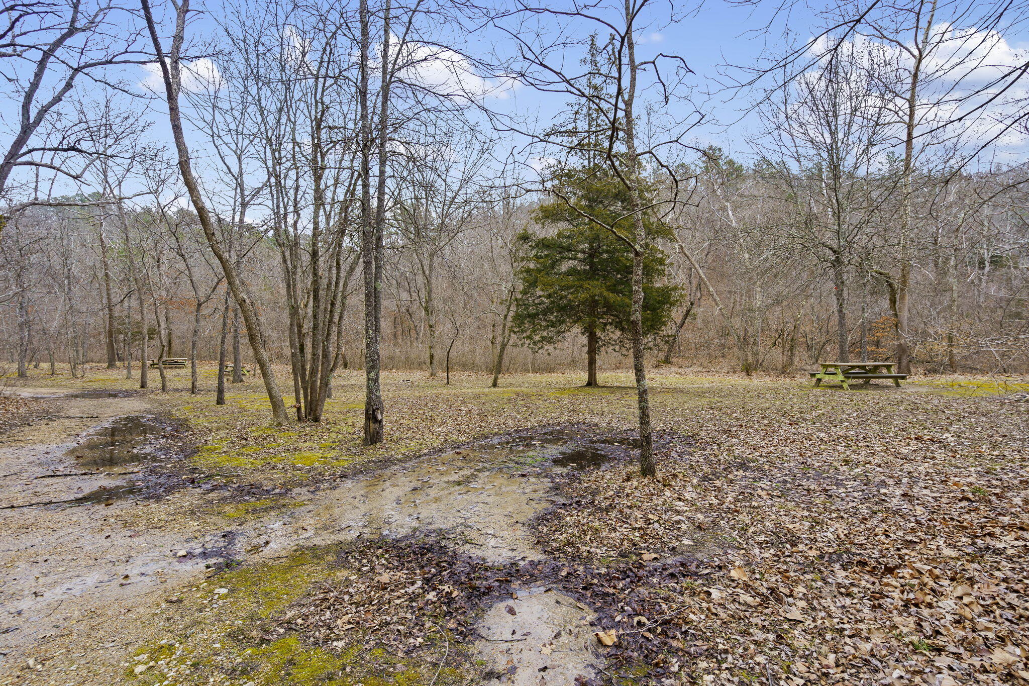 Photo 63 - Commercial Sale for sale – 7064  County Road 14-223 E  Ava, MO