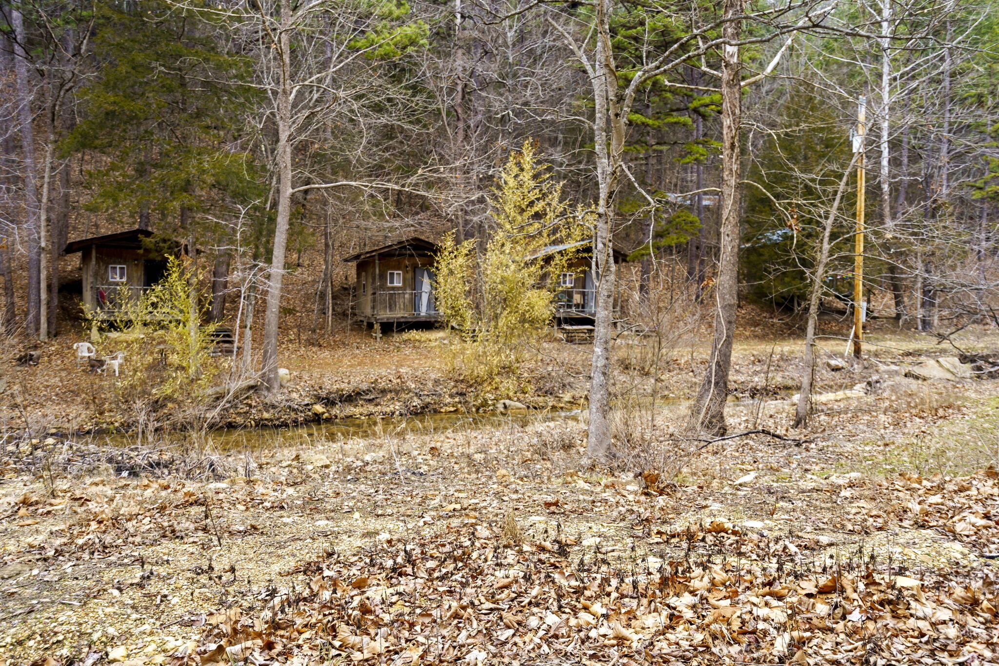 Photo 17 - Commercial Sale for sale – 7064  County Road 14-223 E  Ava, MO