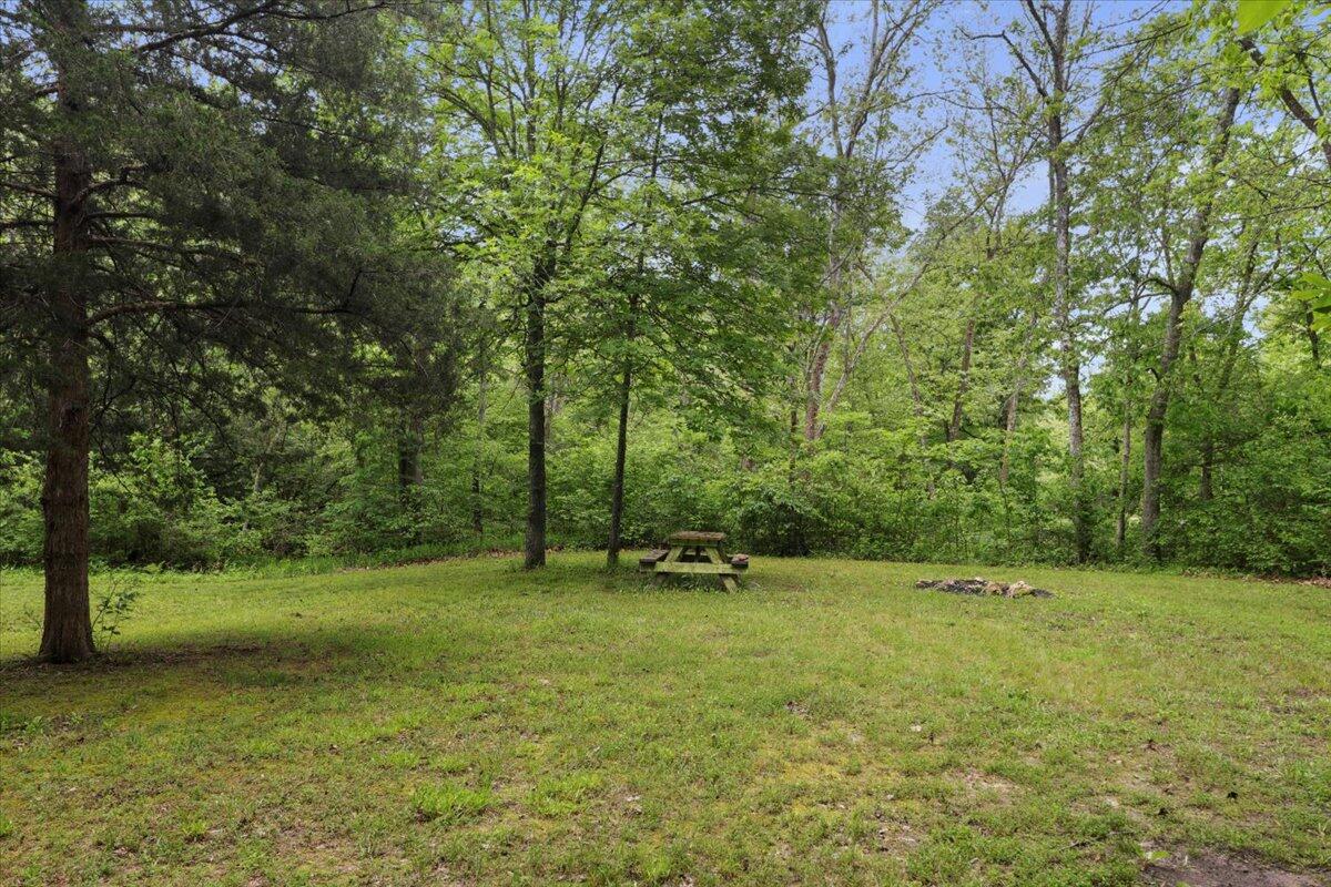 Photo 6 - Commercial Sale for sale – 7064  County Road 14-223 E  Ava, MO