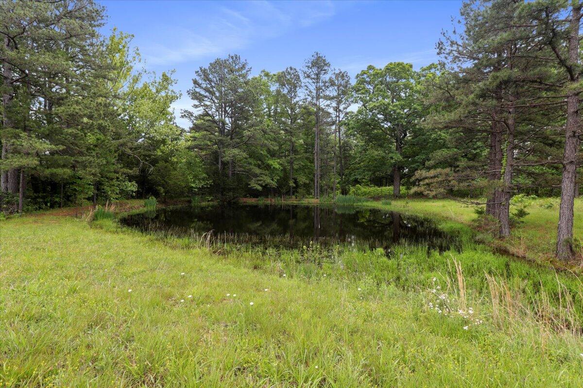 Photo 44 - Commercial Sale for sale – 7064  County Road 14-223 E  Ava, MO