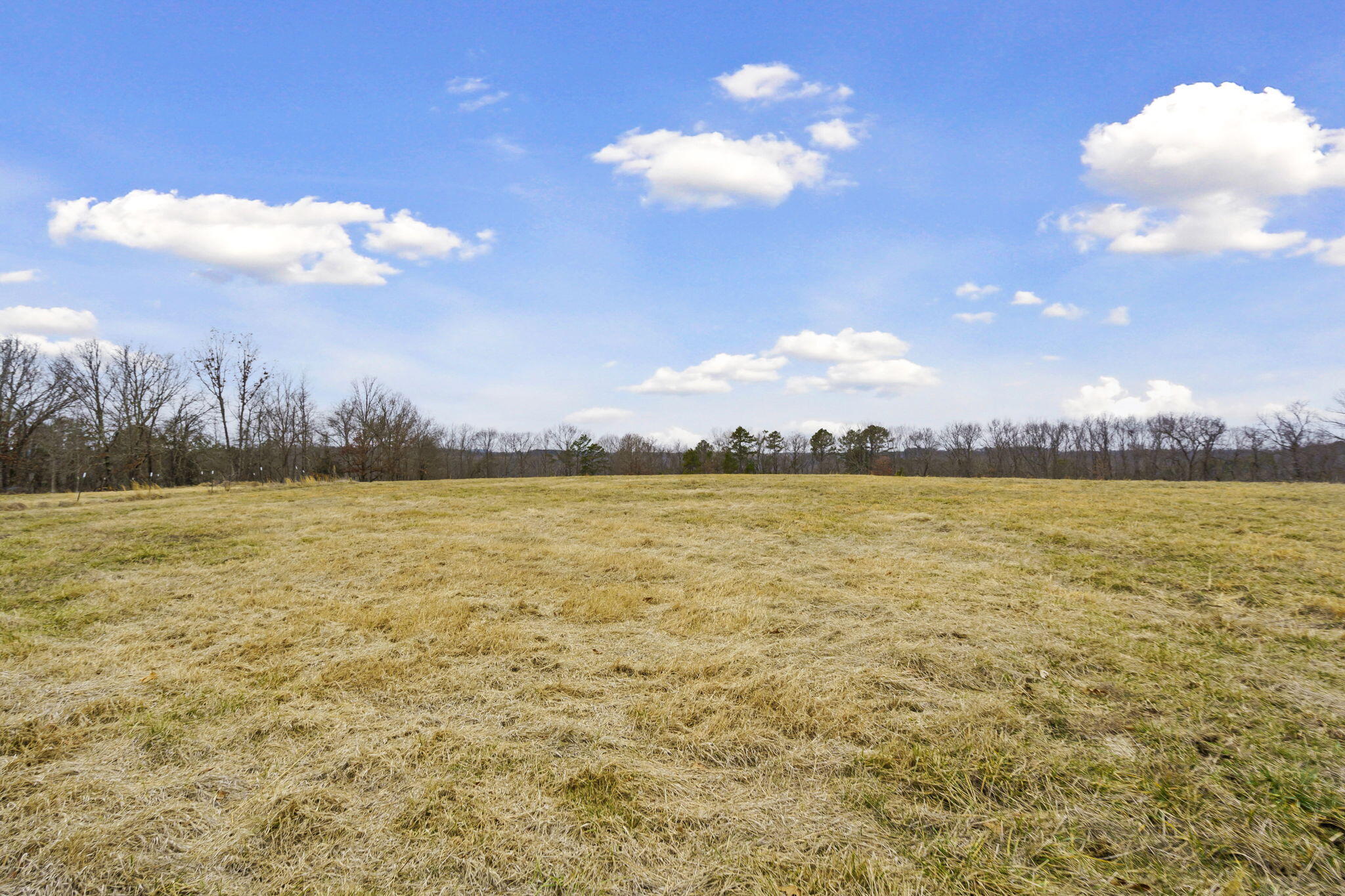 Photo 73 - Commercial Sale for sale – 7064  County Road 14-223 E  Ava, MO