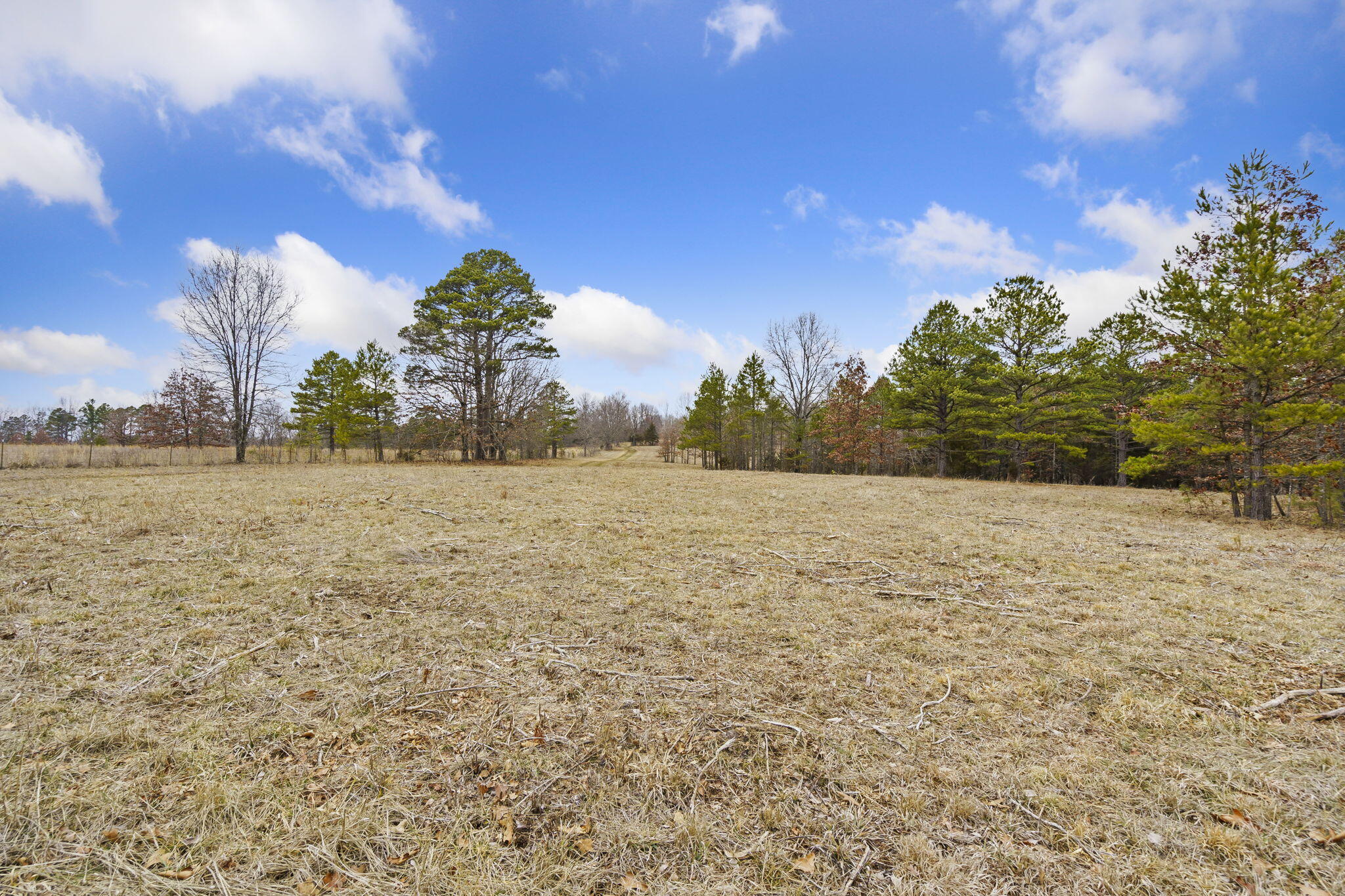 Photo 77 - Commercial Sale for sale – 7064  County Road 14-223 E  Ava, MO