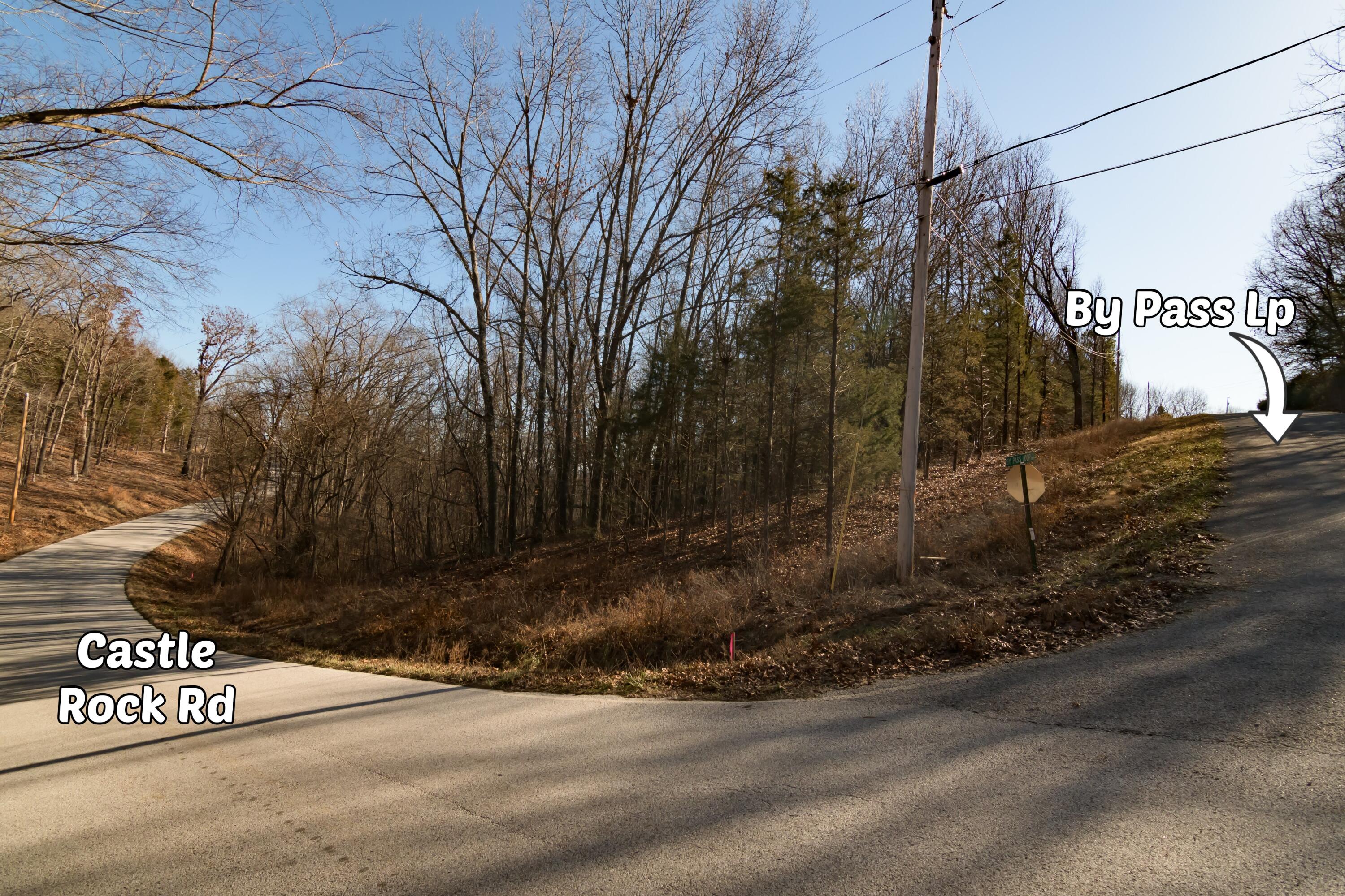 Photo 5 - Land for sale – Lot 11  By Pass Loop  Branson West, MO