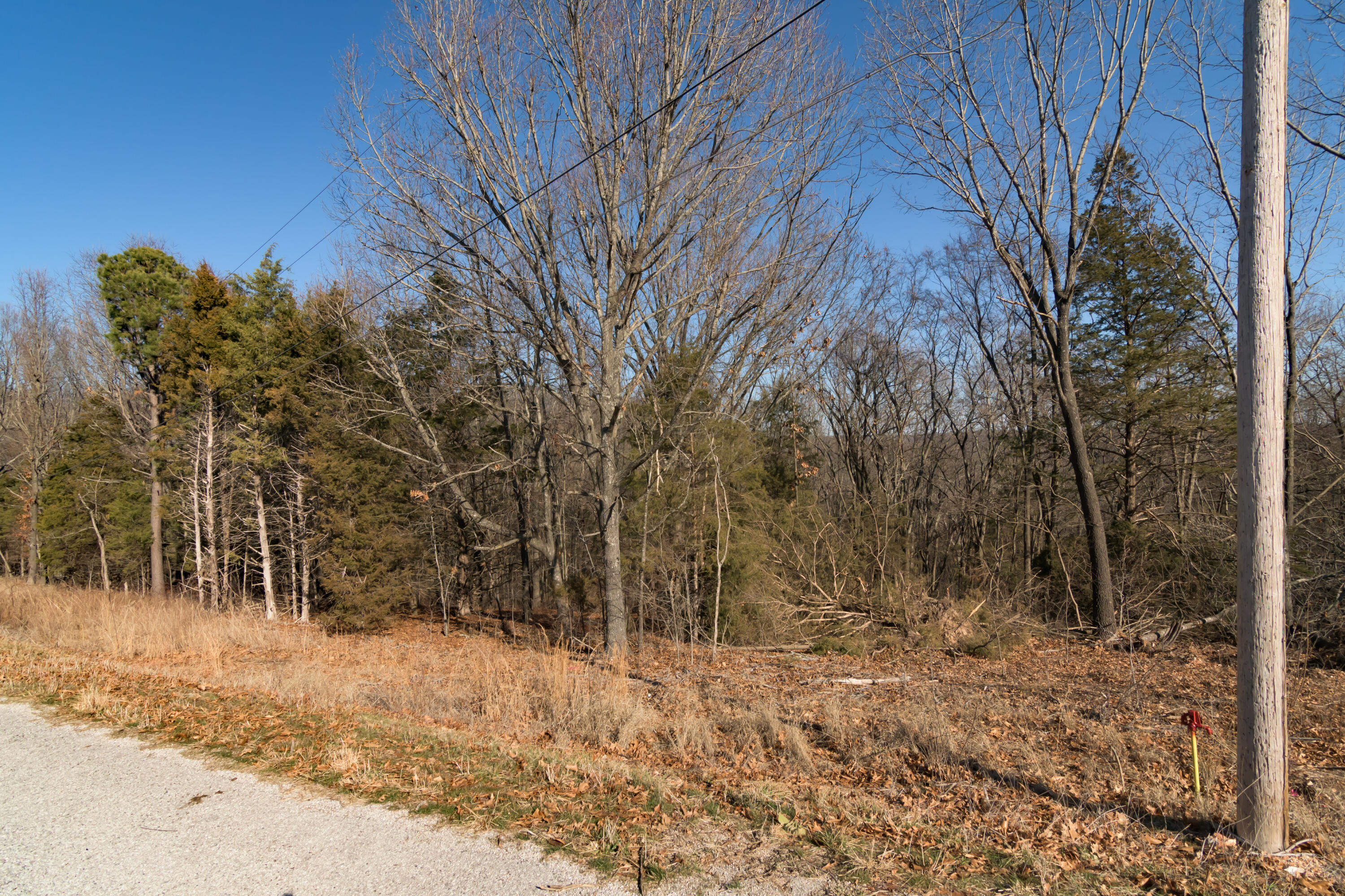 Photo 4 - Land for sale – Lot 11  By Pass Loop  Branson West, MO