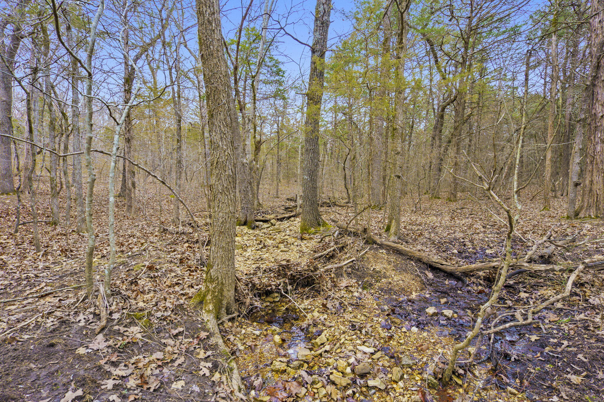 Photo 11 - Land for sale – Tbd  Alyeska Point Road  Lampe, MO