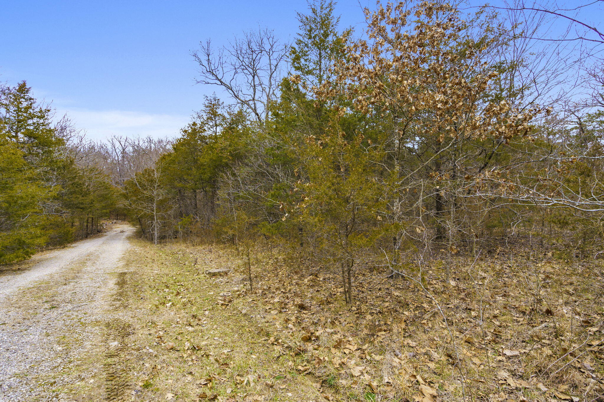 Photo 9 - Land for sale – Tbd  Alyeska Point Road  Lampe, MO