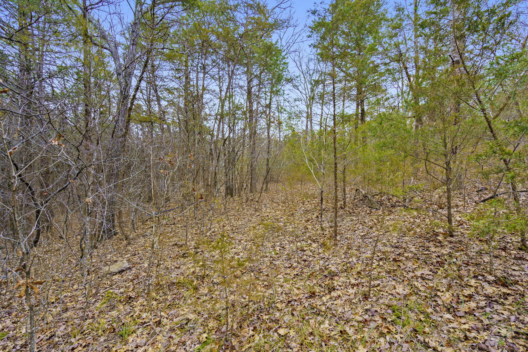 Photo 12 - Land for sale – Tbd  Alyeska Point Road  Lampe, MO