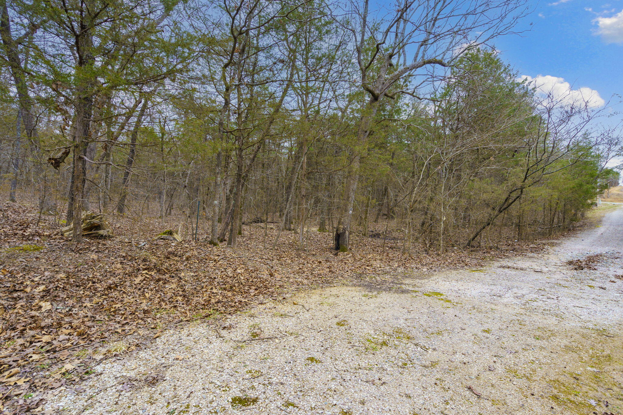 Photo 8 - Land for sale – Tbd  Alyeska Point Road  Lampe, MO