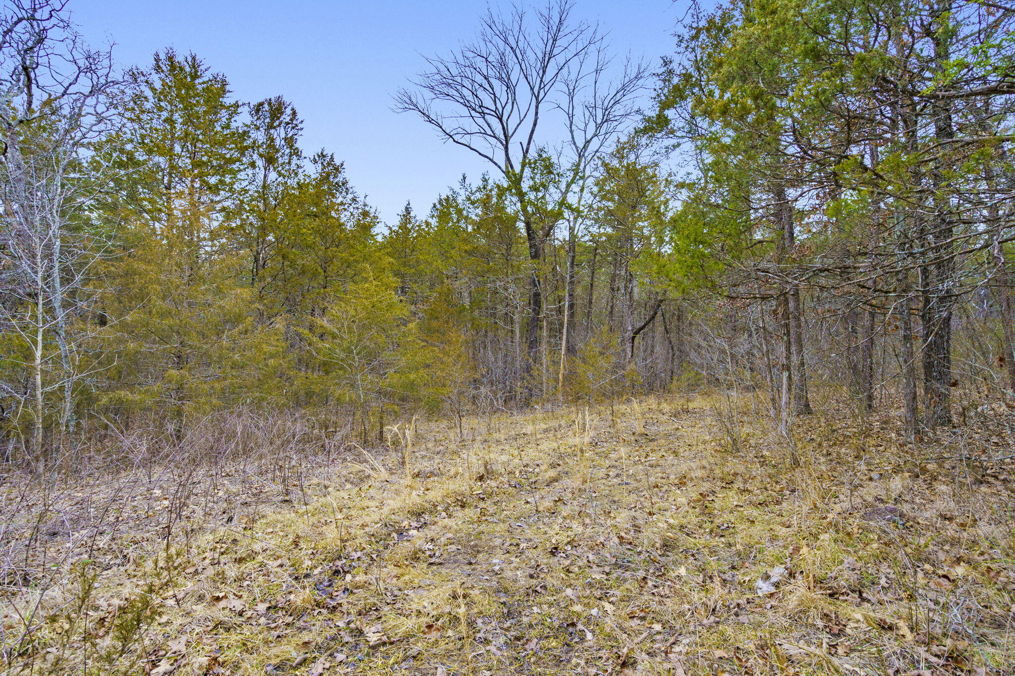 Photo 10 - Land for sale – Tbd  Alyeska Point Road  Lampe, MO
