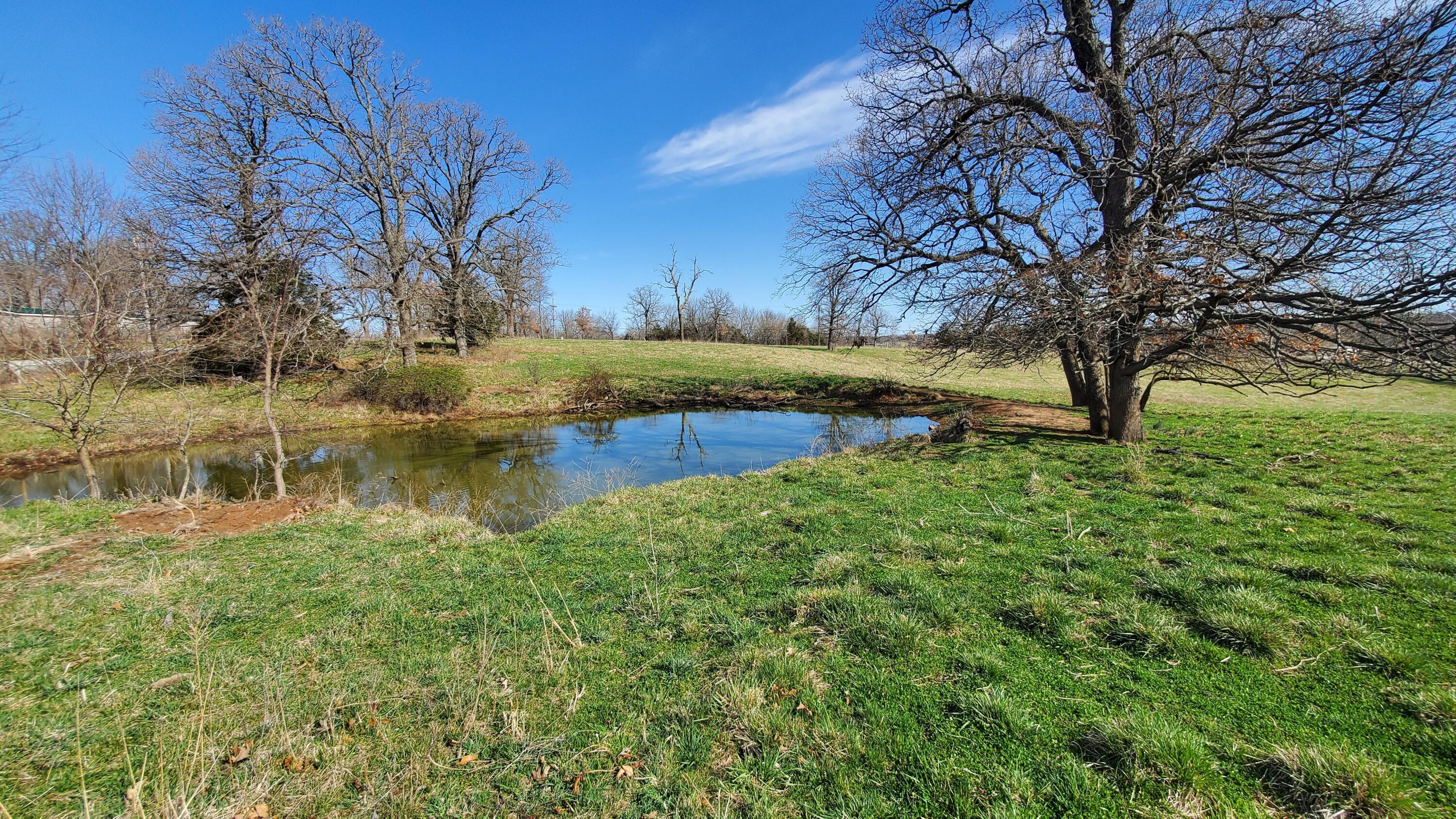 Land for sale – Lot 1 N Farm Road 61   Walnut Grove, MO