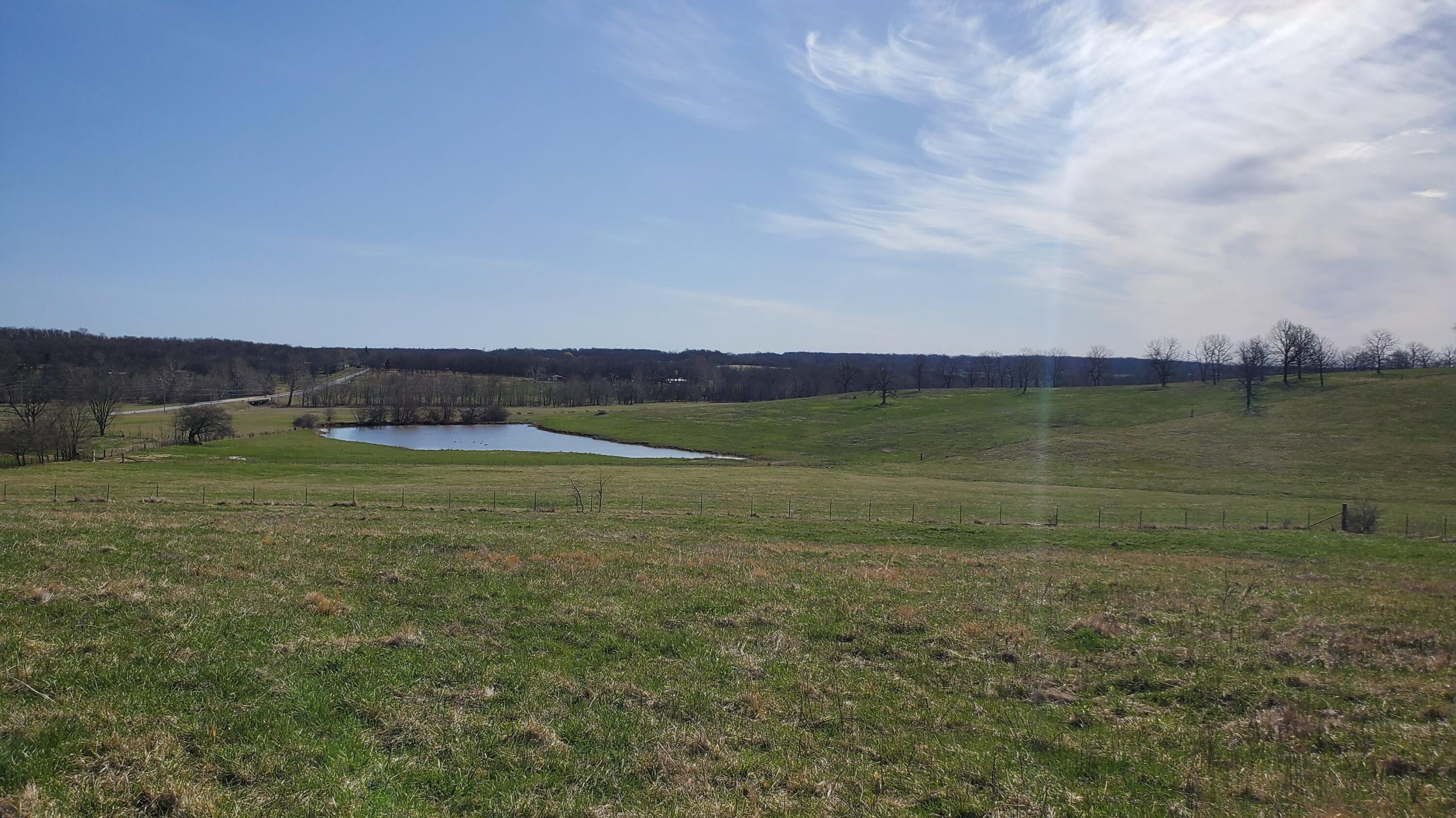 Photo 4 - Land for sale – Lot 1 N Farm Road 61   Walnut Grove, MO