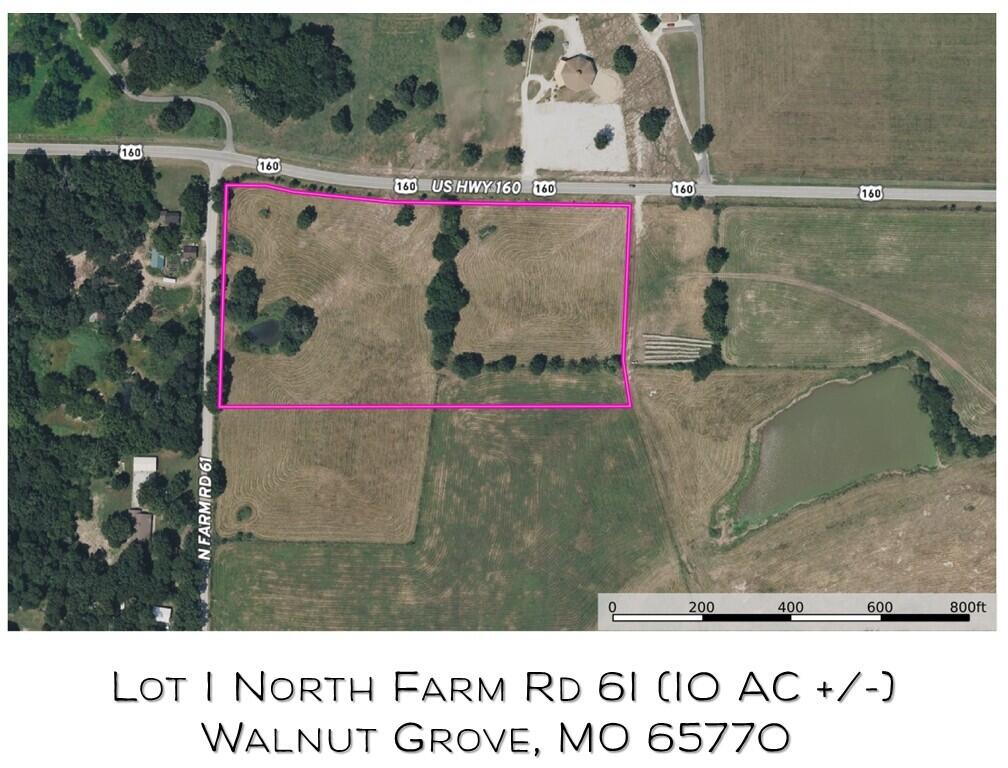 Photo 2 - Land for sale – Lot 1 N Farm Road 61   Walnut Grove, MO