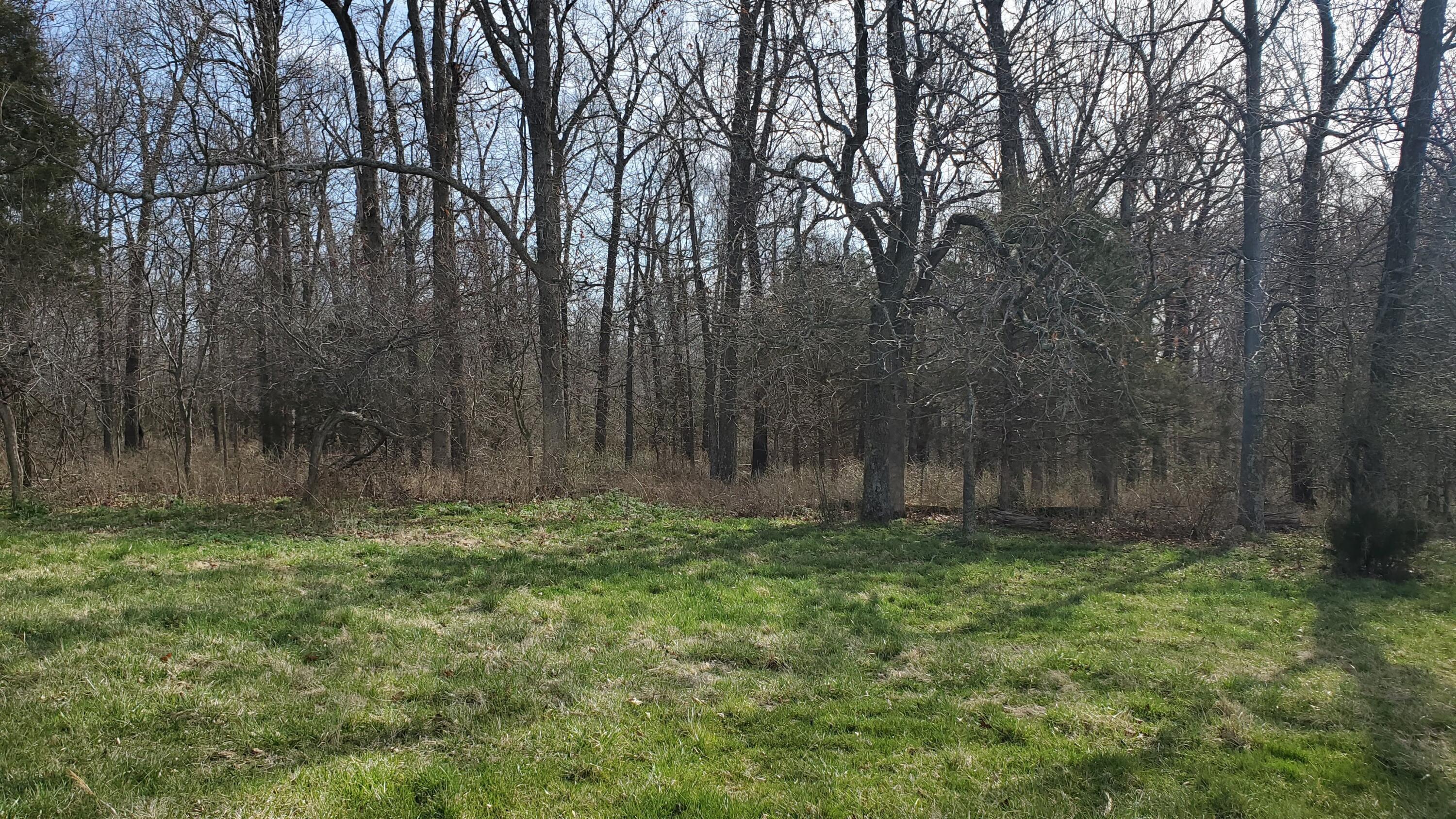 Photo 2 - Land for sale – Lot 6 N Farm Road 61   Walnut Grove, MO
