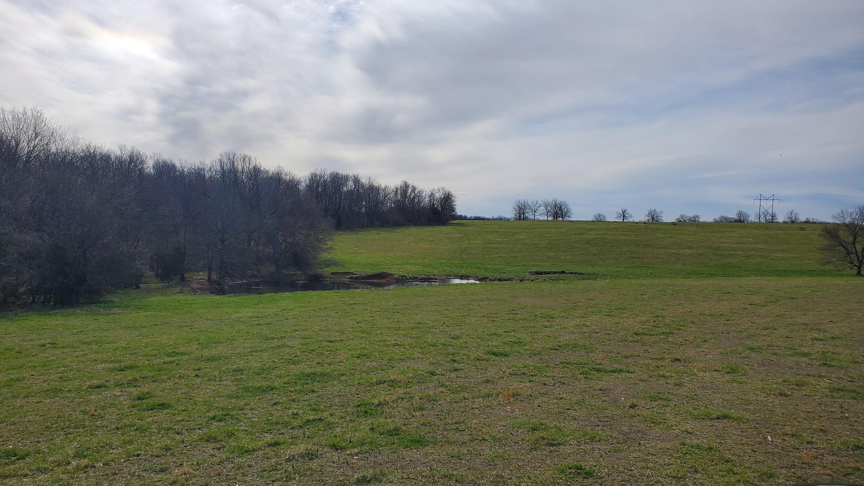 Photo 4 - Land for sale – Lot 6 N Farm Road 61   Walnut Grove, MO