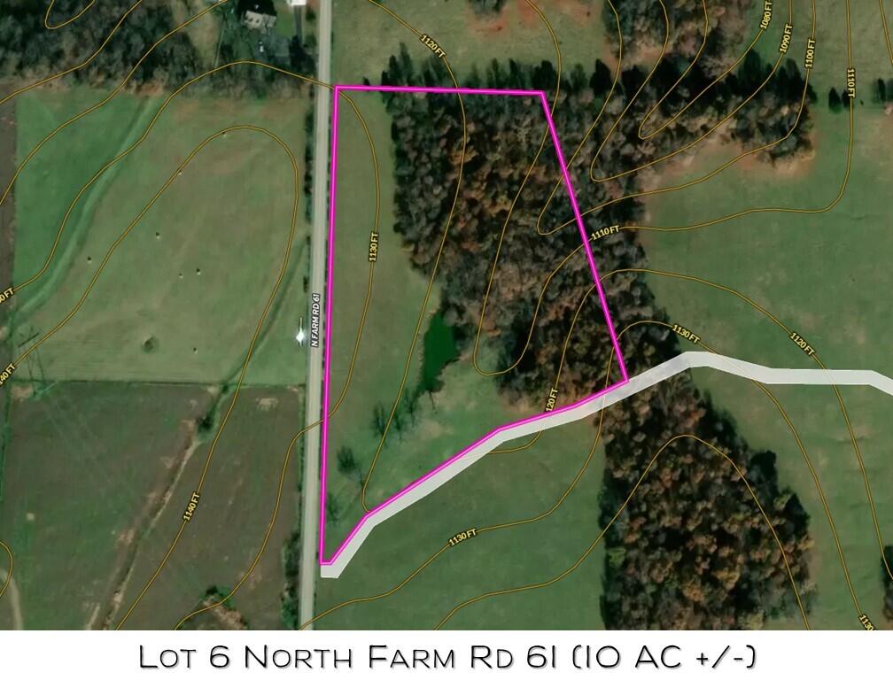 Photo 10 - Land for sale – Lot 6 N Farm Road 61   Walnut Grove, MO