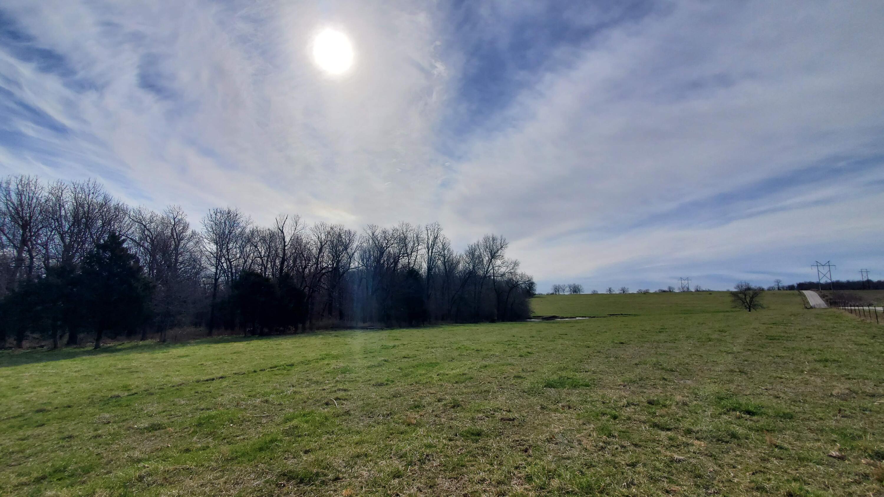 Photo 3 - Land for sale – Lot 6 N Farm Road 61   Walnut Grove, MO