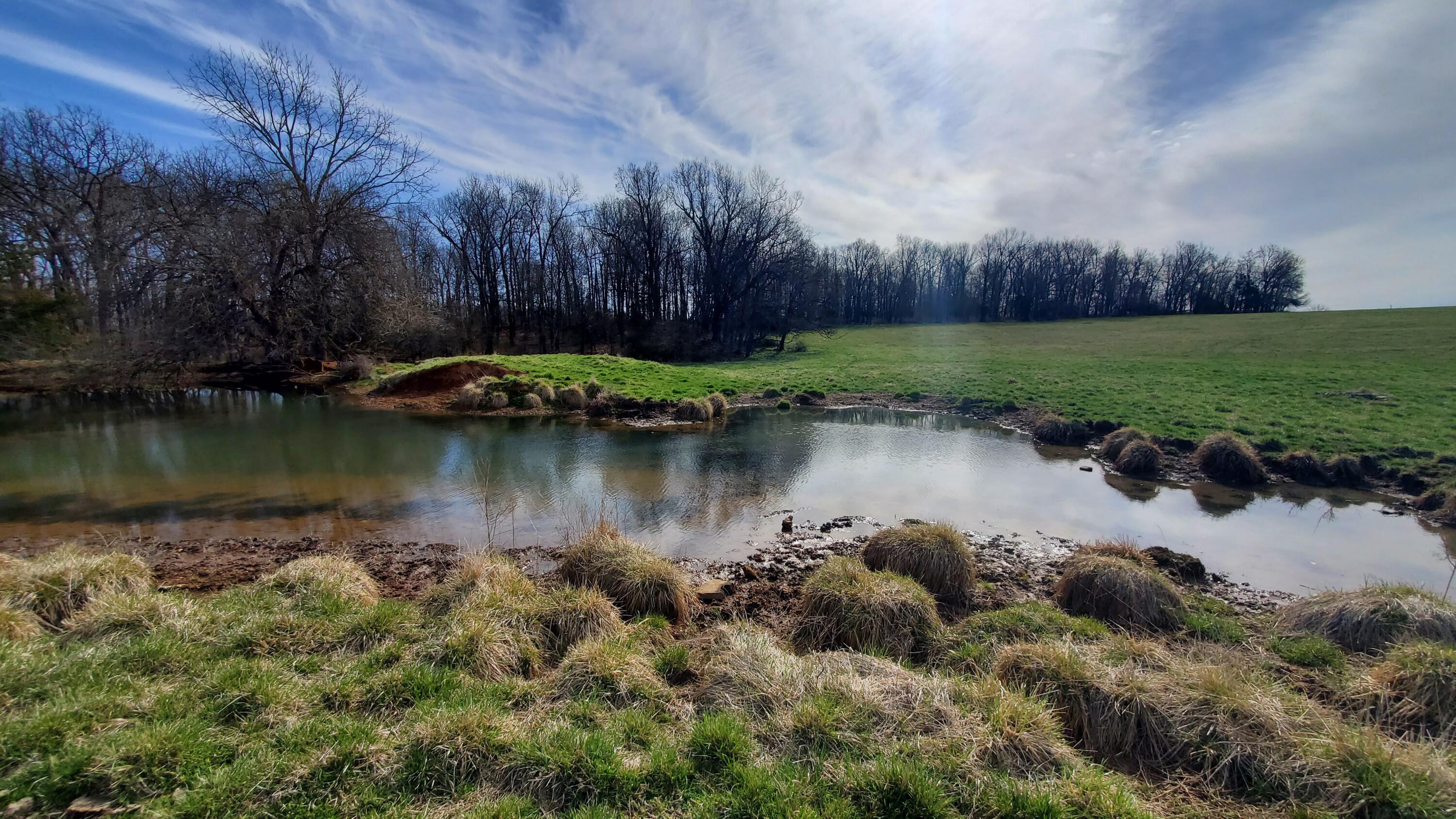 Photo 5 - Land for sale – Lot 6 N Farm Road 61   Walnut Grove, MO