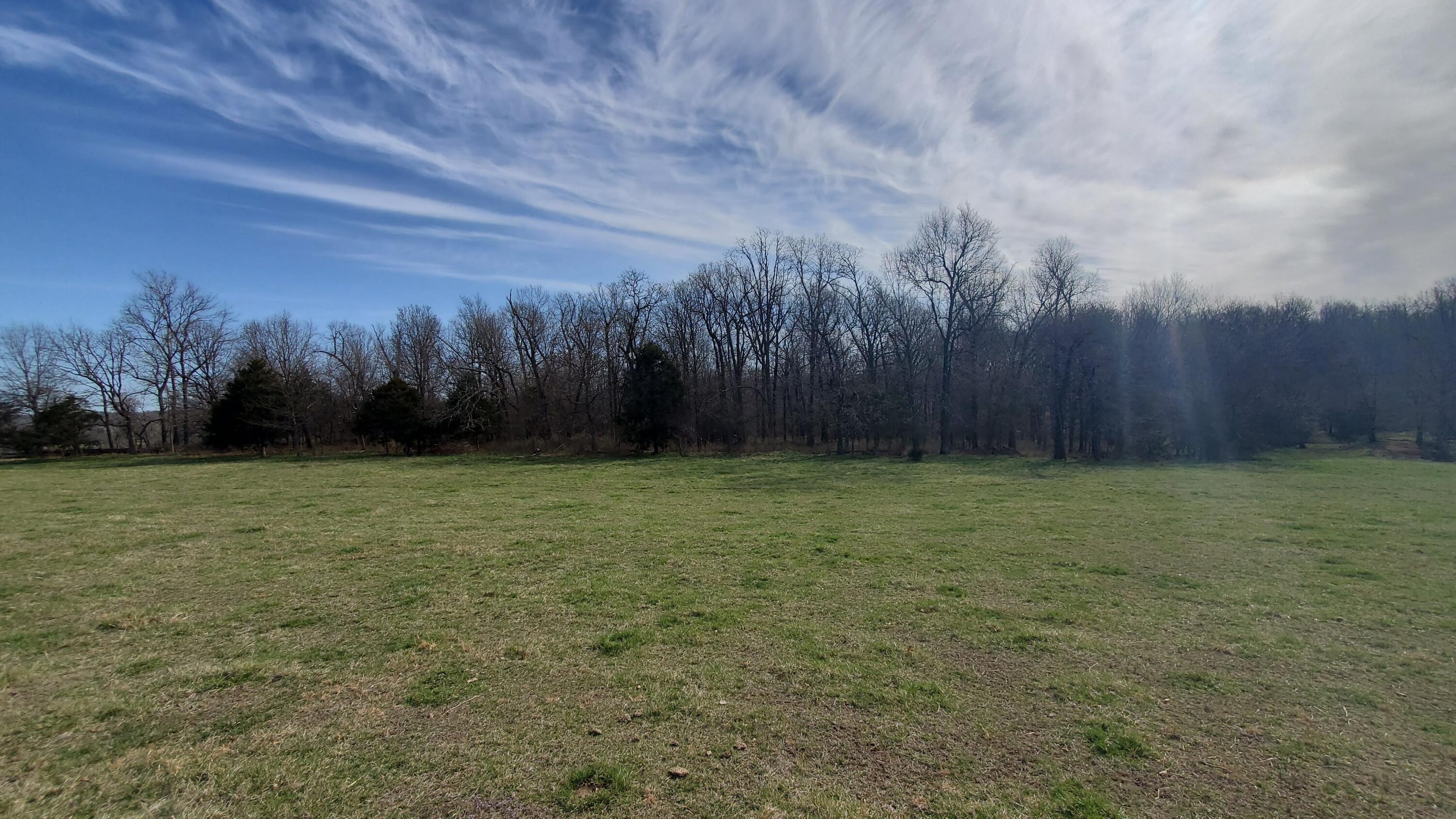 Photo 8 - Land for sale – Lot 6 N Farm Road 61   Walnut Grove, MO