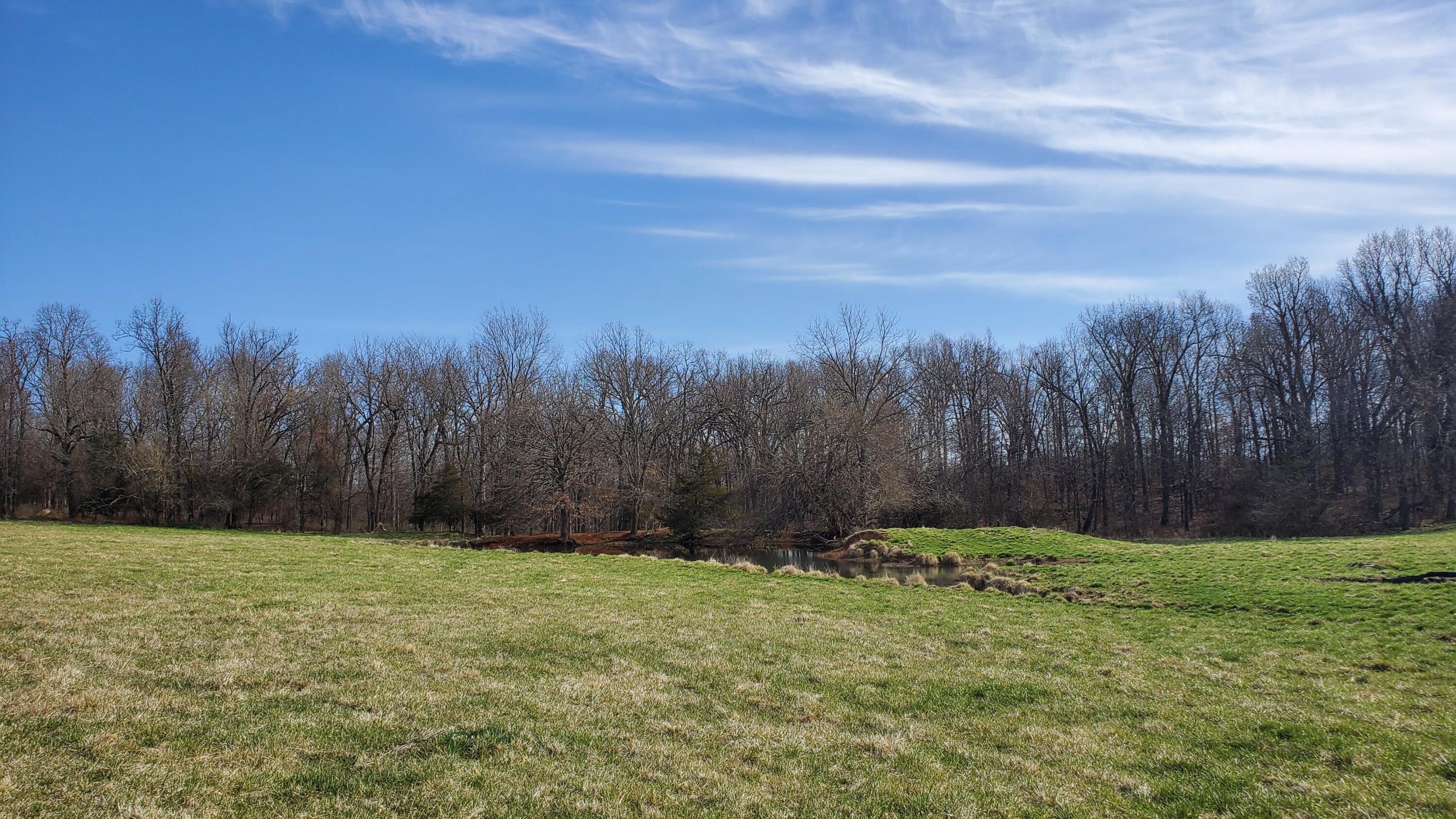 Land for sale – Lot 6 N Farm Road 61   Walnut Grove, MO
