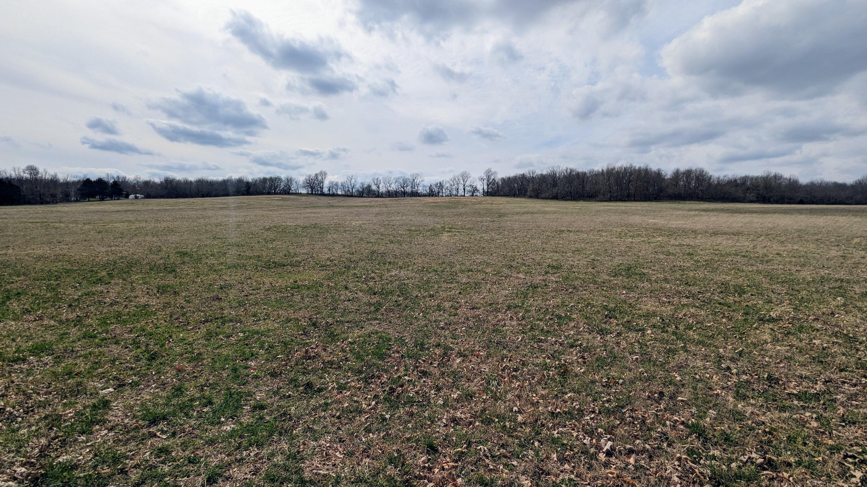 Photo 5 - Land for sale – Tract F N Farm Road 61   Willard, MO